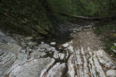 Gorge Harika Güzellik