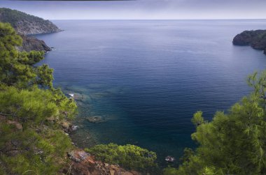 Dağ bitki örtüsü Akdeniz kıyısında