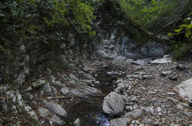 Gorge Harika Güzellik