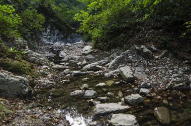 Gorge Harika Güzellik