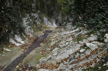 Lazarevskoye yakınlarındaki Kafkasya dağlarındaki Gorge Wonder Beauty