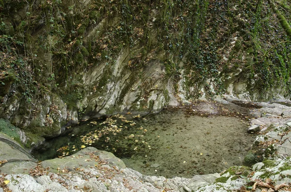 Gorge Wonder Beauty Caucasus Mountains Lazarevskoye — 图库照片