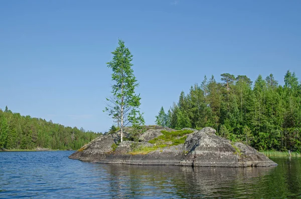 Orilla Arbolada Gran Lago Bosques Costa — Foto de Stock