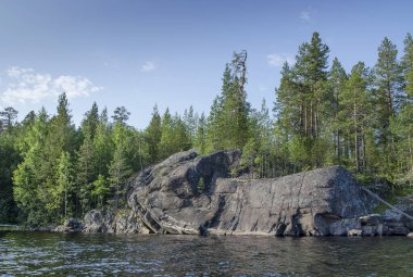 Büyük bir gölün kıyısında. Kıyı boyunca ormanlar