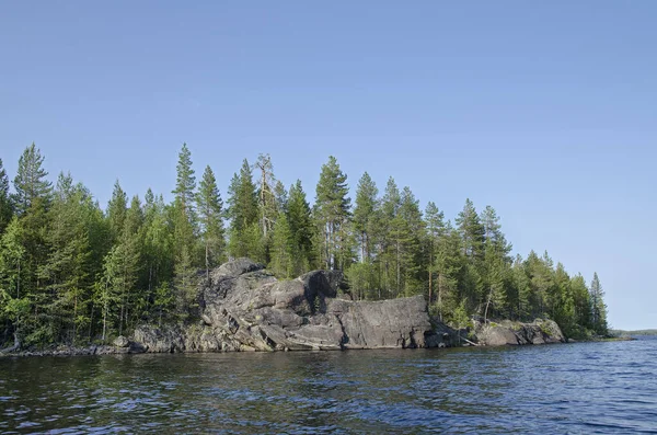 Wooded Shore Large Lake Forests Coast — Stock Photo, Image