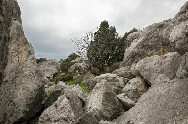 Rocks Simeiz Crimea — Stock Photo, Image