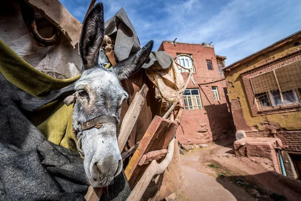 Abyaneh в Ірані — стокове фото