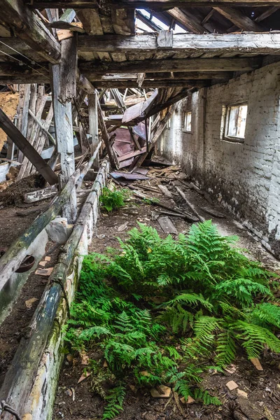 Zona de exclusão de Chernobil — Fotografia de Stock