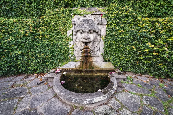 Park in Porto — Stockfoto