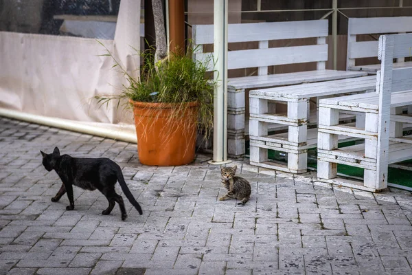 Syracuse İtalya — Stok fotoğraf