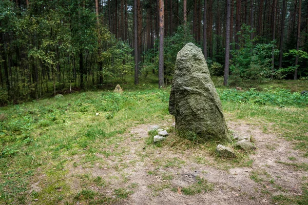 Starożytne groby w lesie — Zdjęcie stockowe