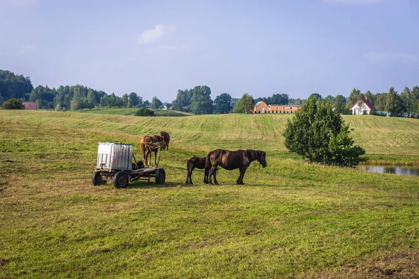 Cassubia region w Polsce — Zdjęcie stockowe