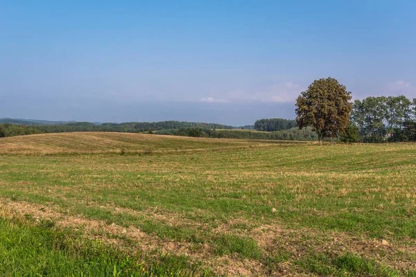 Ländliche Gebiete in Polen — Stockfoto