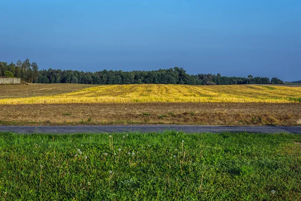 Campo en Polonia — Foto de Stock