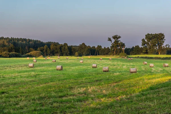 Campagne en Pologne — Photo