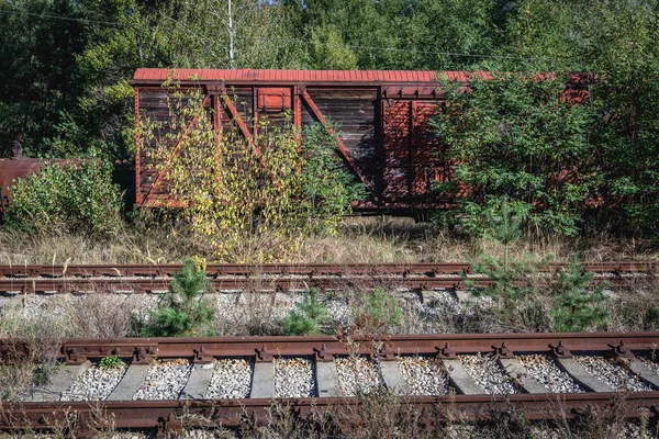 Gare de Yaniv — Photo