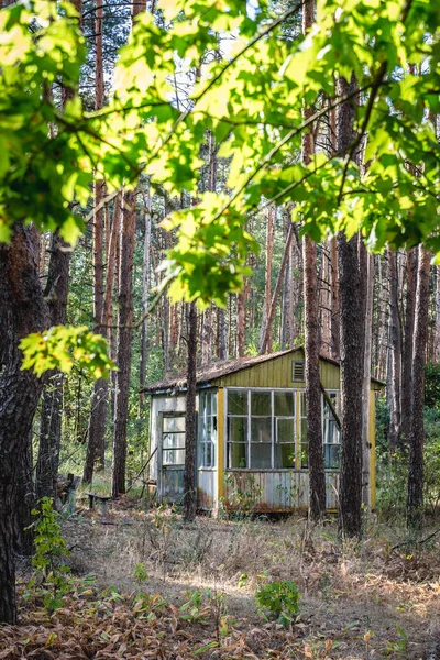 Çernobil bölgesi tatil beldesinde — Stok fotoğraf