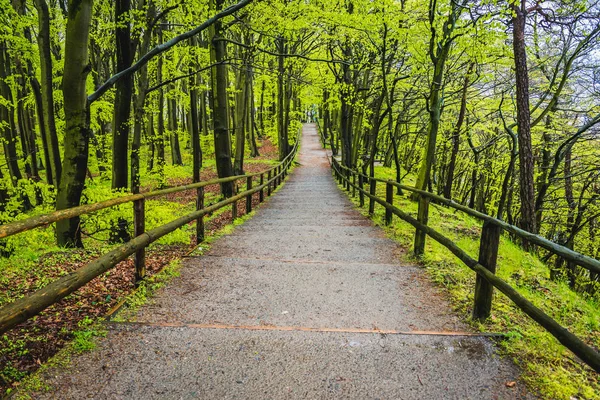 Taman nasional di Polandia — Stok Foto