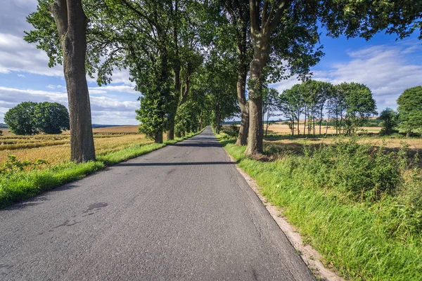 Yol Polonya — Stok fotoğraf