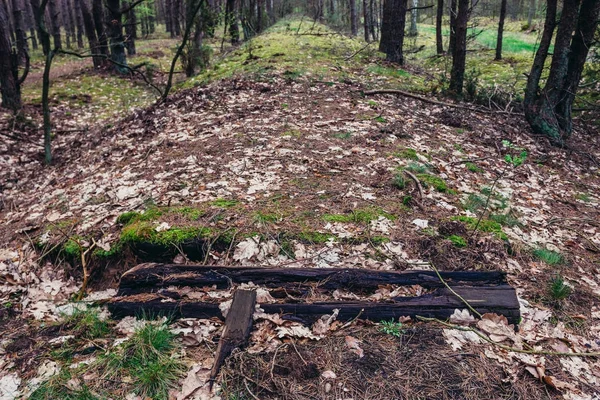 Eski narow ölçer demiryolu parça — Stok fotoğraf