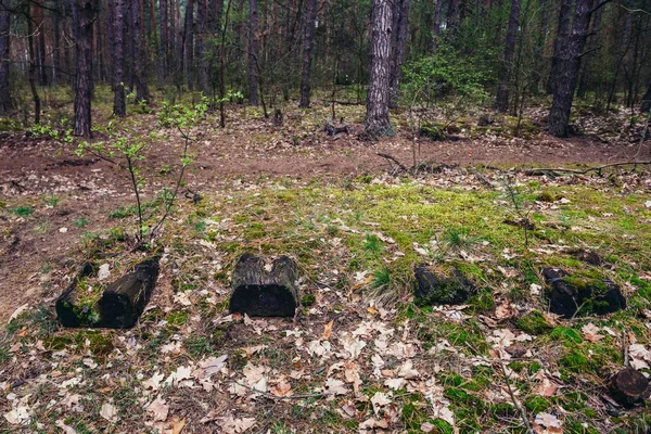 Anciennes voies ferrées à écartement étroit — Photo