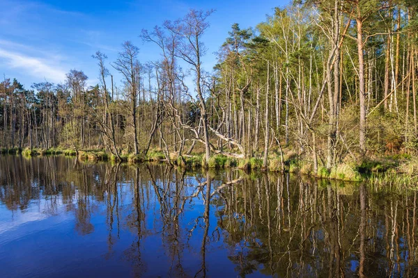 Reserva natural en Polonia — Foto de Stock