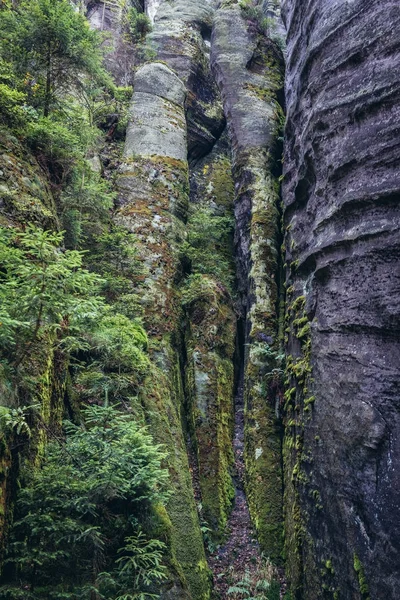 Adrspach Teplice Rocks — Stock Photo, Image