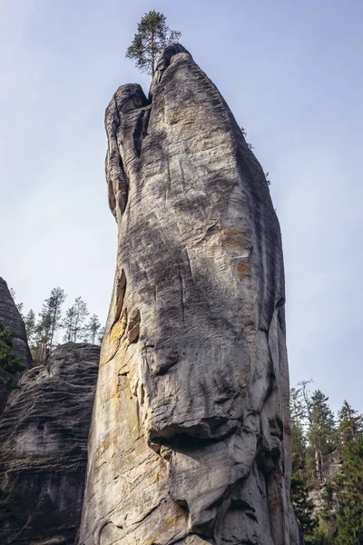 Adrszpach Teplice Rocks — Stok fotoğraf