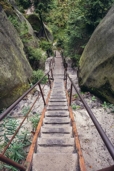 Adrszpach Teplice Rocks — Stok fotoğraf