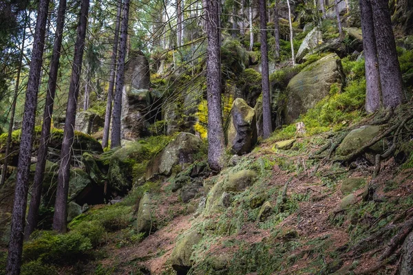 Adrszpach Teplice Rocks — Stok fotoğraf