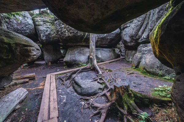 Famous in rock labirynth in Stolowe Mountains — Stock Photo, Image