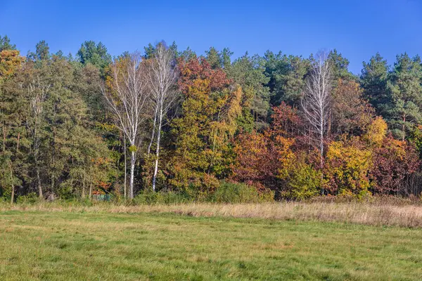 Otoño en voivodato masoviano — Foto de Stock