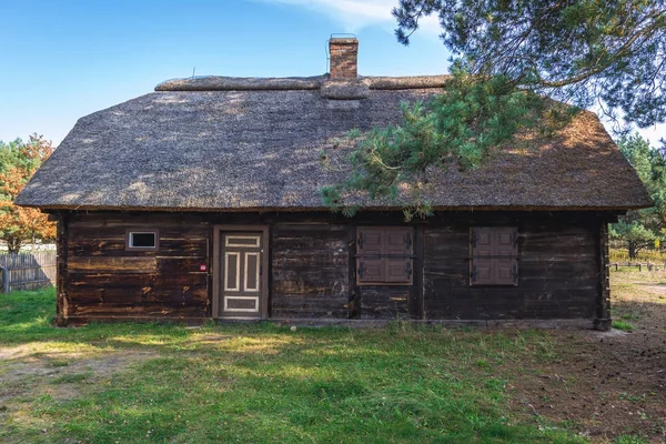 Kampinos Forest Museum i Polen — Stockfoto