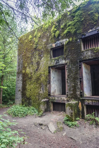 Mamerki bunkers in Polen — Stockfoto