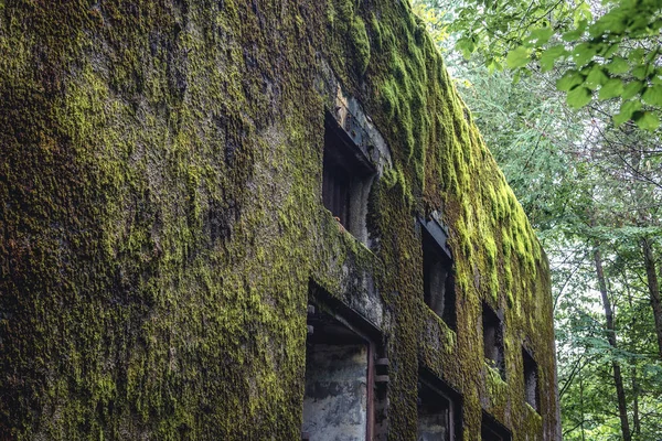 Mamerki bunkers en Polonia — Foto de Stock