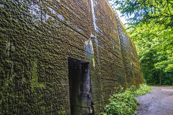 Mamerki bunkers in Polen — Stockfoto