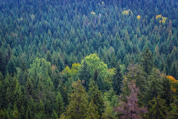 Stolowe Montanhas na Polónia — Fotografia de Stock