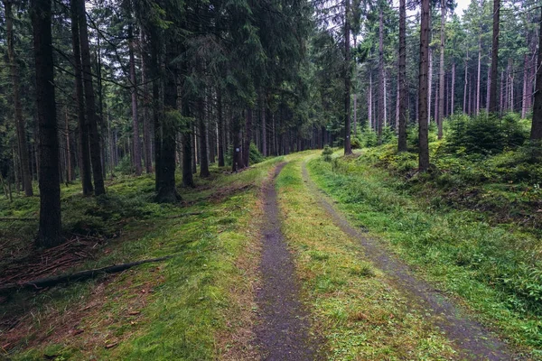 Montagnes Stolowe en Pologne — Photo