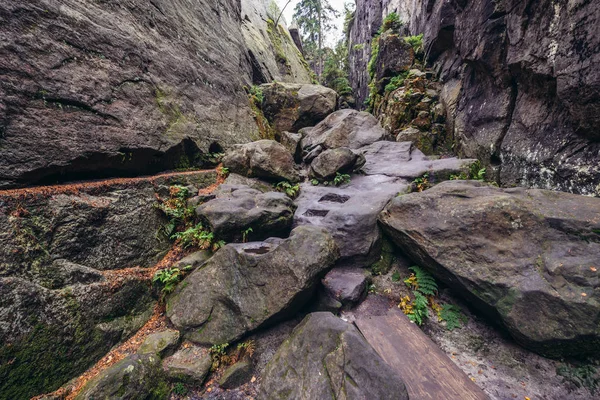 Szczeliniec Wielki în Polonia — Fotografie, imagine de stoc