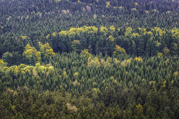 Stolowe Montanhas na Polónia — Fotografia de Stock