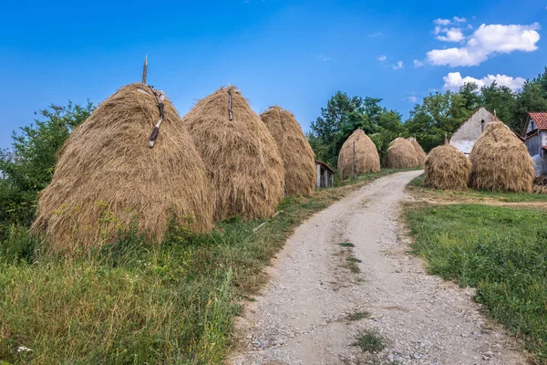 Ferme en Serbie — Photo