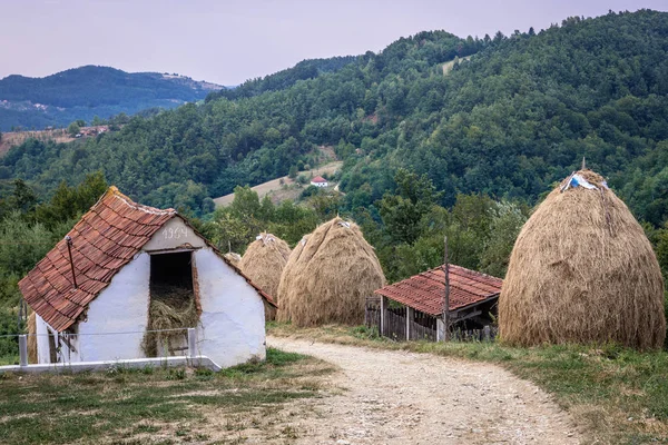 セルビアのファーム — ストック写真
