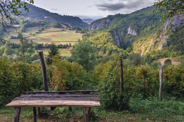 Frambozen groeien in Servië — Stockfoto