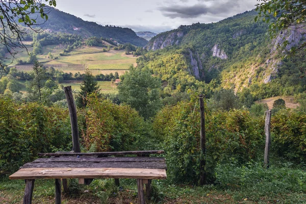 Frambuesas creciendo en Serbia — Foto de Stock