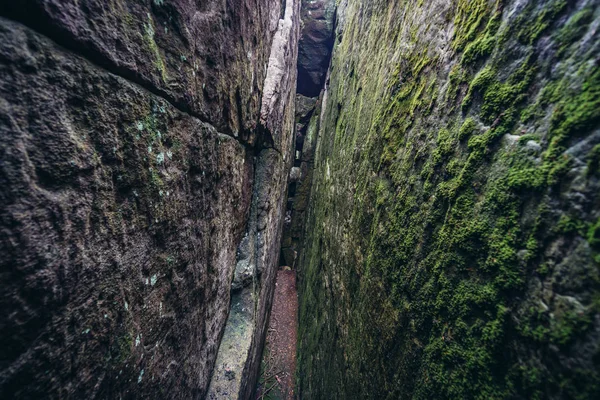 Szczeliniec Wielki en Pologne — Photo