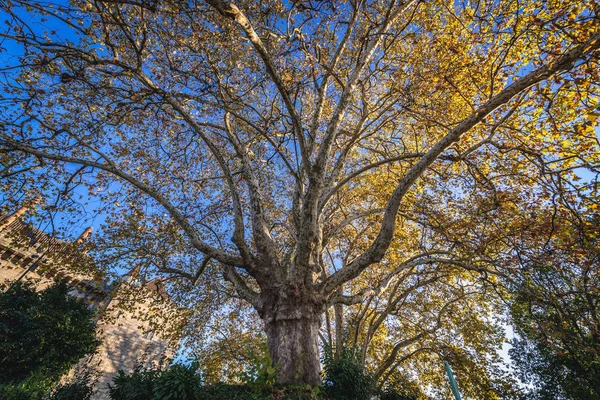 Guimaraes in Portugal — Stockfoto