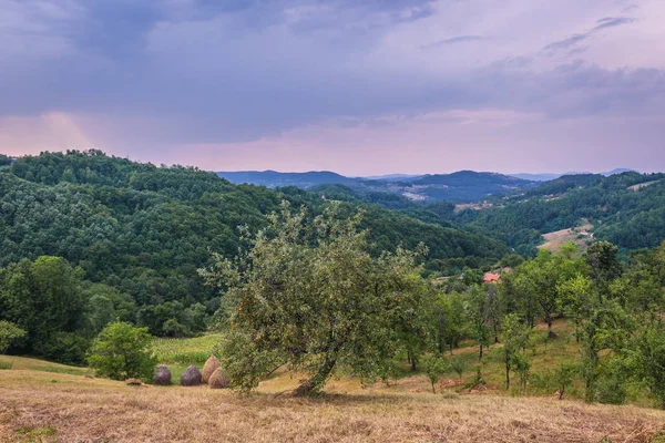 Krajina v centrálním Srbsku — Stock fotografie