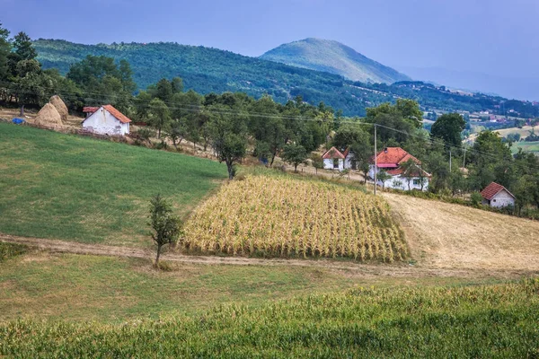 セルビアの山 — ストック写真