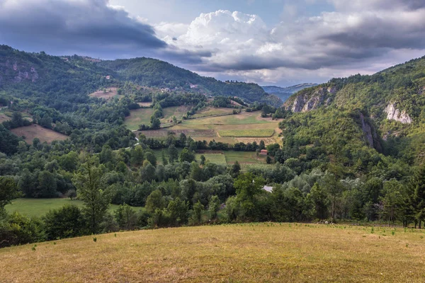 ズラティ ボール セルビアの地域 — ストック写真