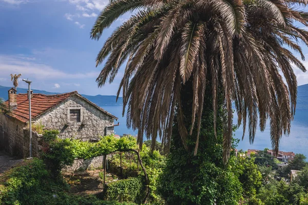 Herceg Novi em Montenegro — Fotografia de Stock